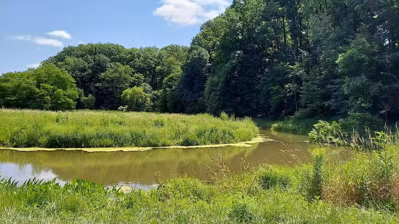 Mt. Gilead State Park - Mt Gilead, OH