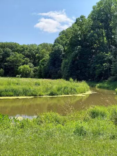 Mt. Gilead State Park - Mt Gilead, OH