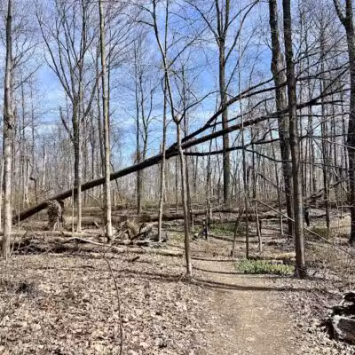 Mt. Gilead State Park - Mt Gilead, OH