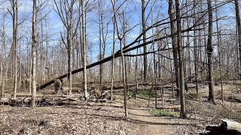 Mt. Gilead State Park - Mt Gilead, OH