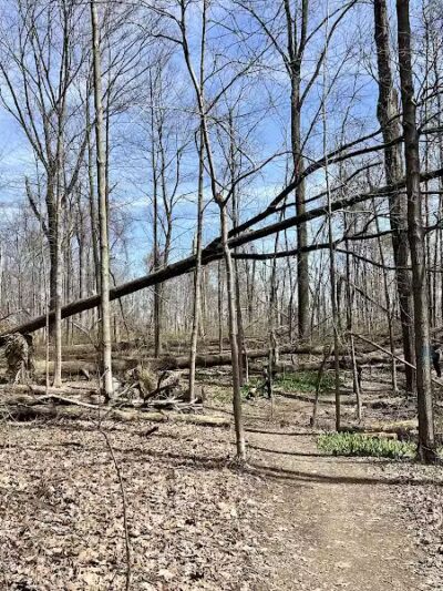 Mt. Gilead State Park - Mt Gilead, OH