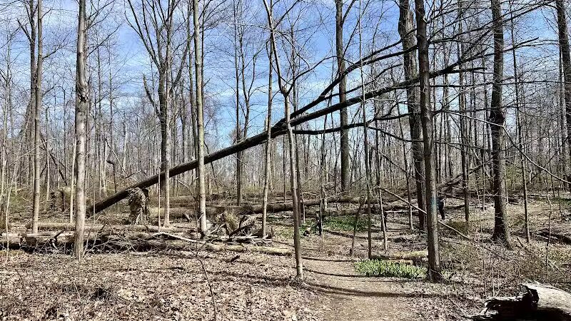 Mt. Gilead State Park - Mt Gilead, OH