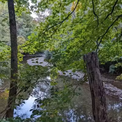Mt. Gilead State Park - Mt Gilead, OH