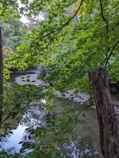 Mt. Gilead State Park - Mt Gilead, OH