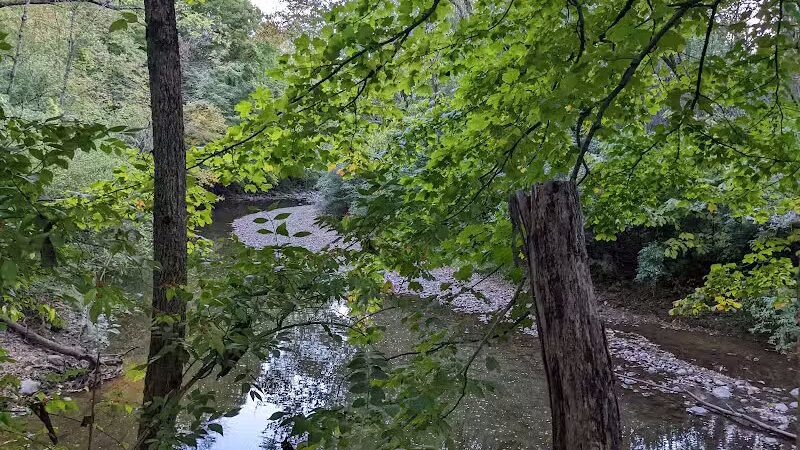 Mt. Gilead State Park - Mt Gilead, OH