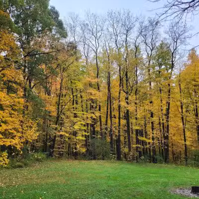 Mt. Gilead State Park Campground - Mt Gilead, OH