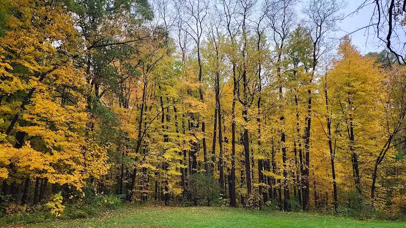 Mt. Gilead State Park Campground - Mt Gilead, OH