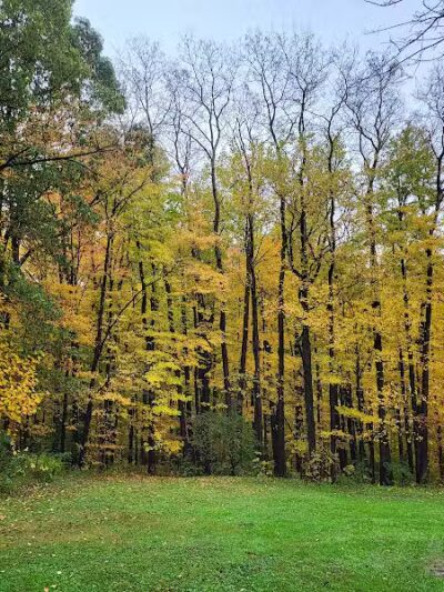 Mt. Gilead State Park Campground - Mt Gilead, OH