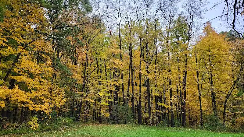 Mt. Gilead State Park Campground - Mt Gilead, OH