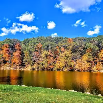 Mt. Gilead State Park Campground - Mt Gilead, OH