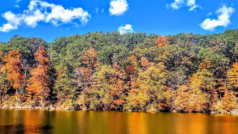 Mt. Gilead State Park Campground - Mt Gilead, OH