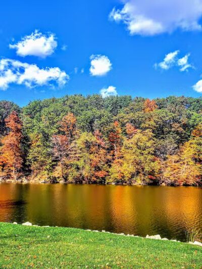 Mt. Gilead State Park Campground - Mt Gilead, OH