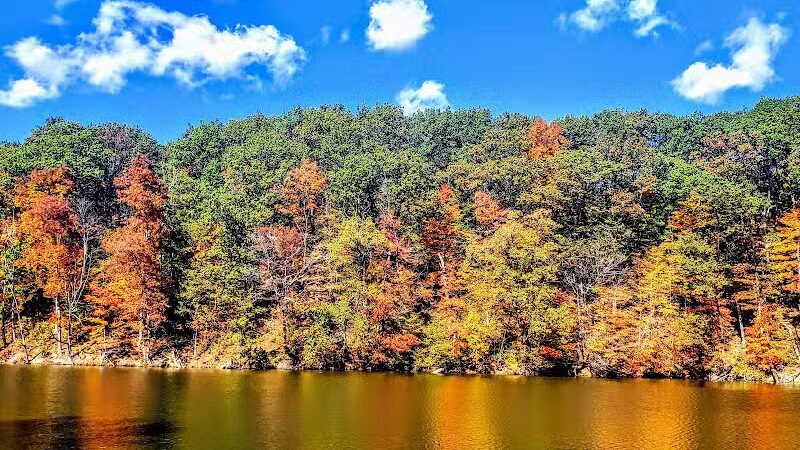 Mt. Gilead State Park Campground - Mt Gilead, OH