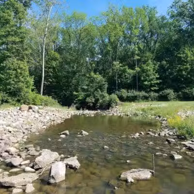 Mt. Gilead State Park Campground - Mt Gilead, OH