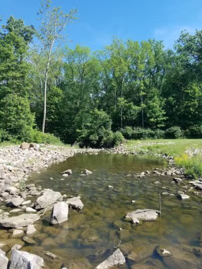Mt. Gilead State Park Campground - Mt Gilead, OH