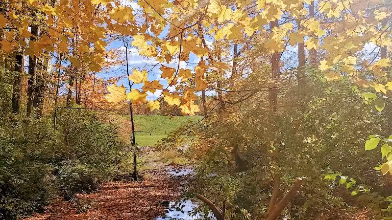Mt. Gilead State Park Campground - Mt Gilead, OH