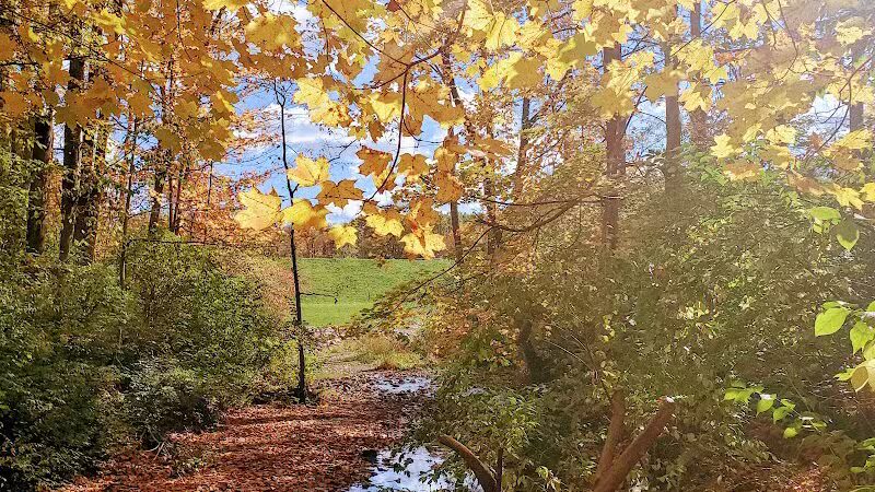Mt. Gilead State Park Campground - Mt Gilead, OH