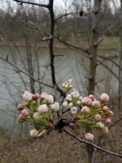Heritage Park Trail - Mt Healthy, OH