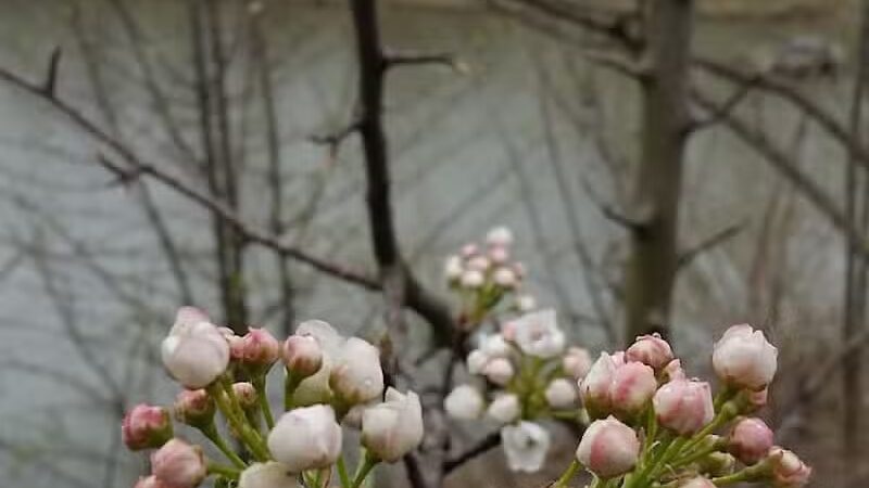 Heritage Park Trail - Mt Healthy, OH