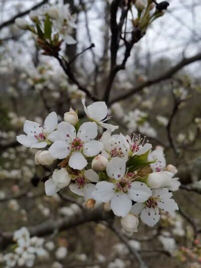 Heritage Park Trail - Mt Healthy, OH