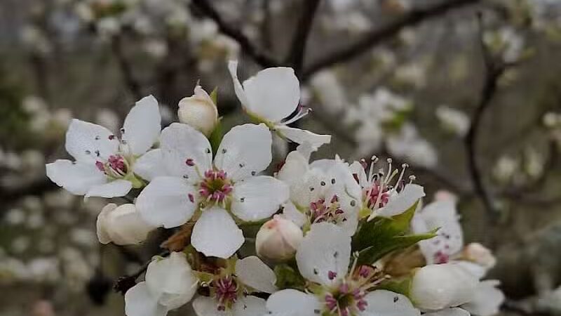 Heritage Park Trail - Mt Healthy, OH