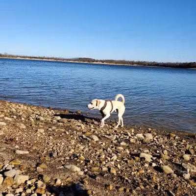 Deer Creek Dog Beach / Fishing Area - Mt Sterling, OH