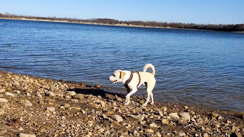 Deer Creek Dog Beach / Fishing Area - Mt Sterling, OH
