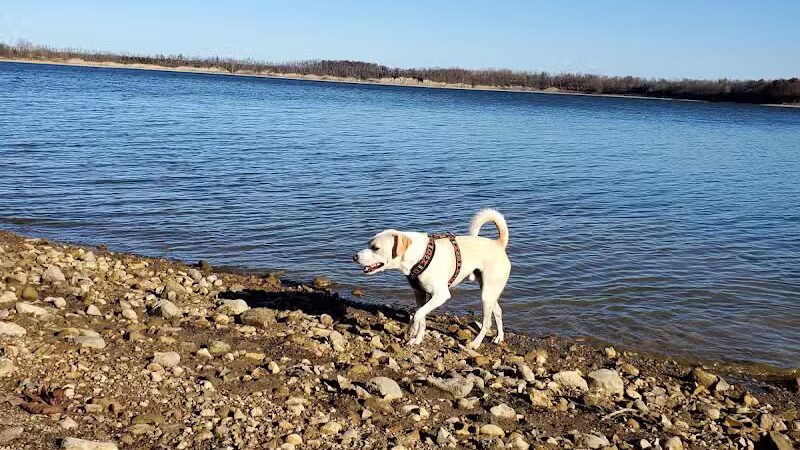 Deer Creek Dog Beach / Fishing Area - Mt Sterling, OH