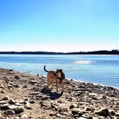 Deer Creek Dog Beach / Fishing Area - Mt Sterling, OH