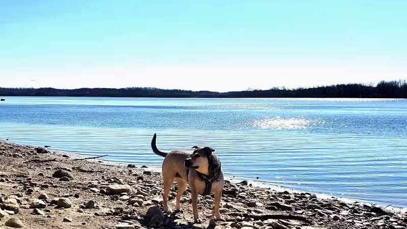 Deer Creek Dog Beach / Fishing Area - Mt Sterling, OH