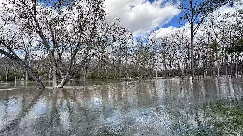 Doe Shelter - Mt Sterling, OH