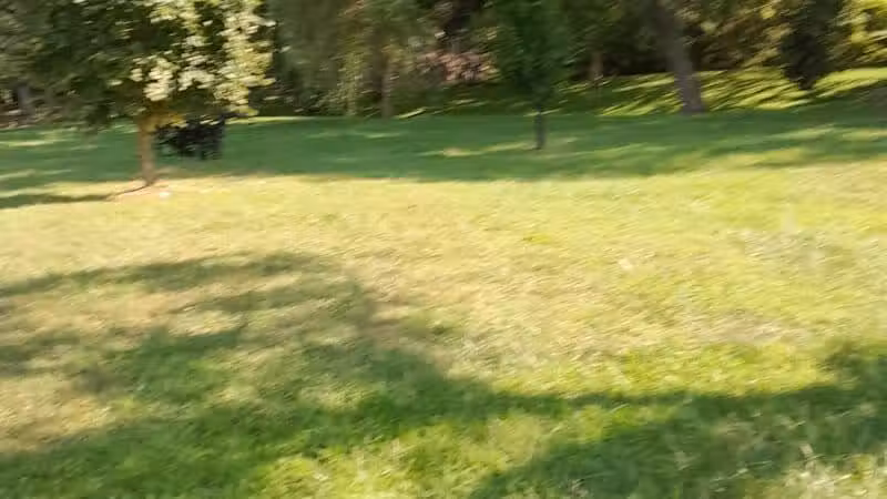 Doe Shelter - Mt Sterling, OH