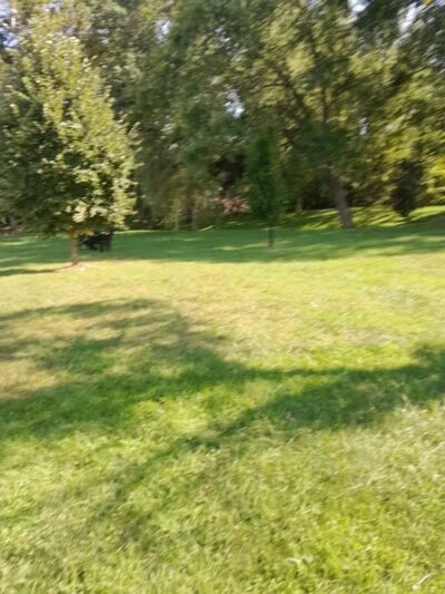 Doe Shelter - Mt Sterling, OH