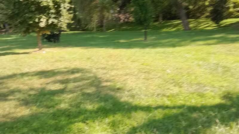 Doe Shelter - Mt Sterling, OH