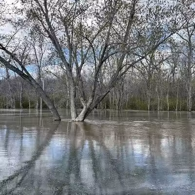 Doe Shelter - Mt Sterling, OH
