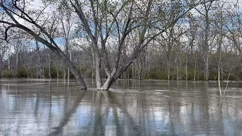 Doe Shelter - Mt Sterling, OH
