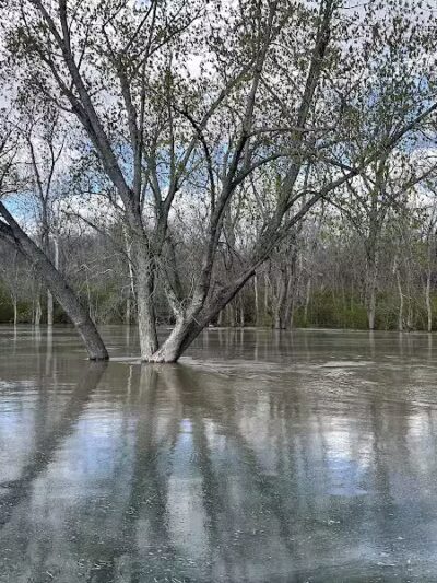 Doe Shelter - Mt Sterling, OH