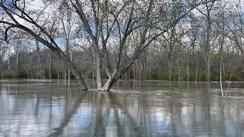 Doe Shelter - Mt Sterling, OH