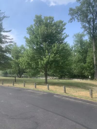 Doe Shelter - Mt Sterling, OH