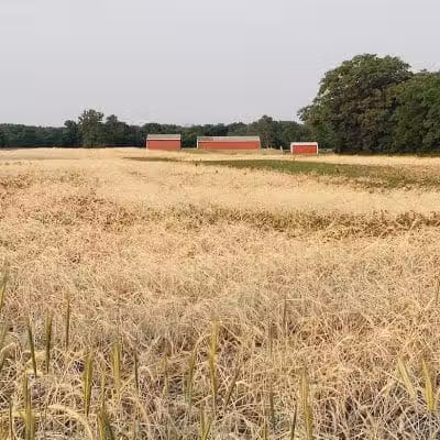Veterans Field - Mt Sterling, OH