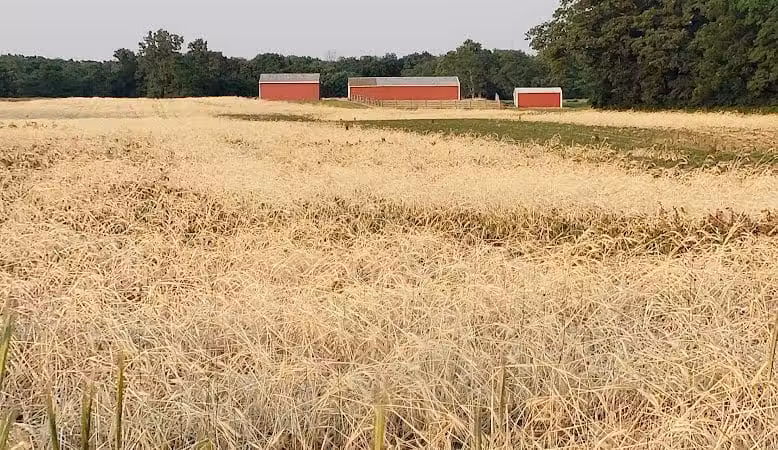 Veterans Field - Mt Sterling, OH