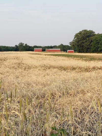 Veterans Field - Mt Sterling, OH