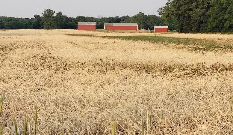 Veterans Field - Mt Sterling, OH