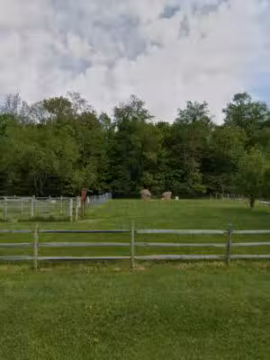 Wolf Run Dog Park - Mt Vernon, OH