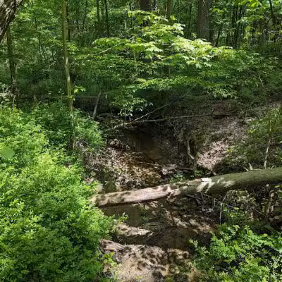 Wolf Run Regional Park - Mt Vernon, OH