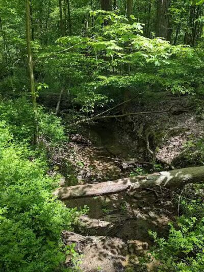 Wolf Run Regional Park - Mt Vernon, OH