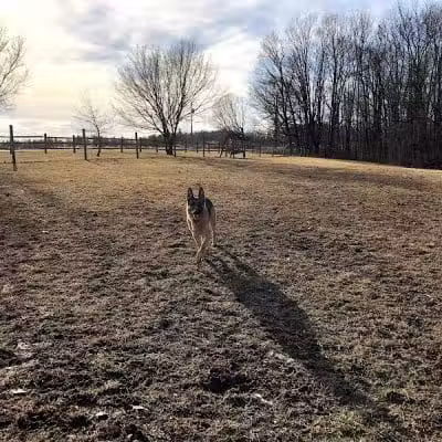 Wolf Run Regional Park - Mt Vernon, OH