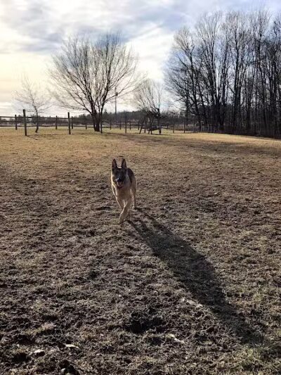 Wolf Run Regional Park - Mt Vernon, OH