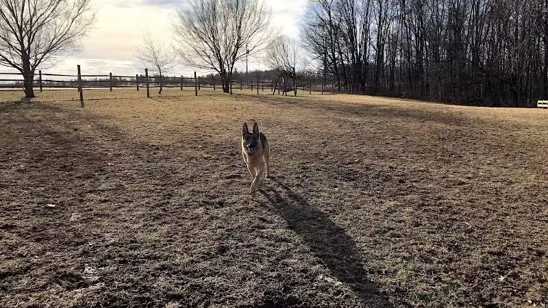 Wolf Run Regional Park - Mt Vernon, OH