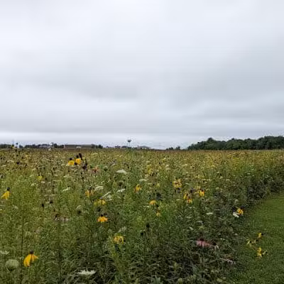 Wolf Run Regional Park - Mt Vernon, OH